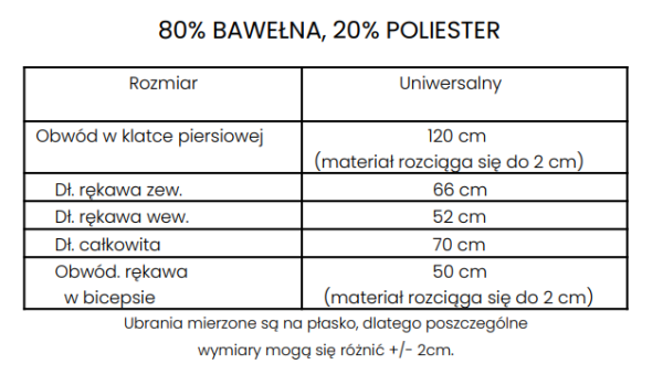 Bluza męska OLAVOGA ROWEN 2023 - maWer Fashion