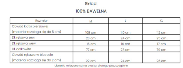 -shirt męski OLAVOGA GRECOS MEN - maWer Fashion