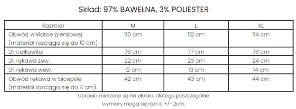 T-shirt męski OLAVOGA ZONE - maWer Fashion