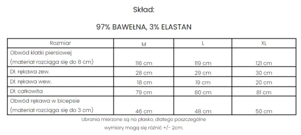 T-shirt męski OLAVOGA SILVER - maWer Fashion