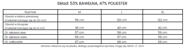 Bluza męska OLAVOGA COLD 2025 szara - maWer Fashion