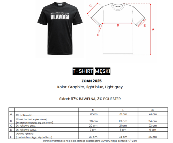 T-shirt męski OLAVOGA ZOAN 2025 jasny szary - maWer Fashion