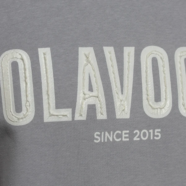 Bluza męska OLAVOGA COLD 2025 szara - maWer Fashion