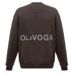 Bluza męska OLAVOGA FLASH 2026 brąz - maWer Fashion