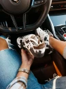 Buty damskie sneakersy OLAVOGA ANATY 2026 animal print - maWer Fashion