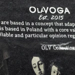 Bluza męska OLAVOGA OFI 2026 szara - maWer Fashion