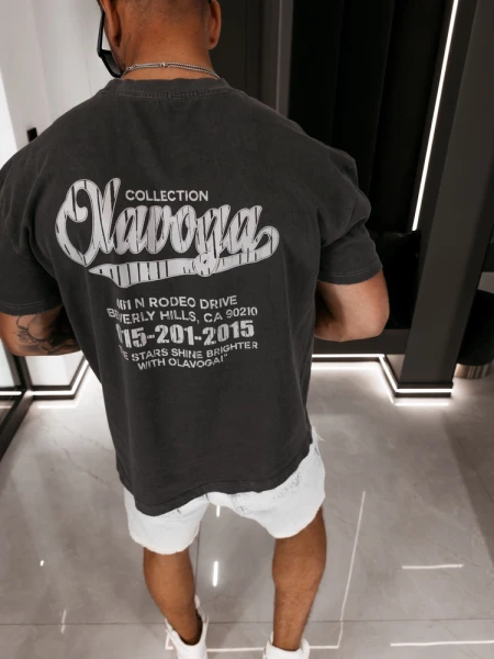 T-shirt męski OLAVOGA BEVERLY 2026 szary - maWer Fashion