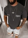 T-shirt męski OLAVOGA BEVERLY 2026 szary - maWer Fashion